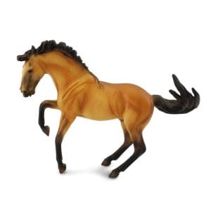 Lusitano Stallion Buckskin