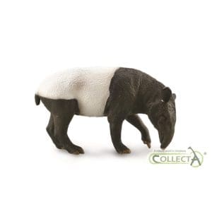 Malayan Tapir