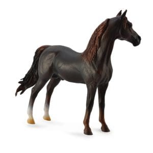Morgan Stallion - Chestnut