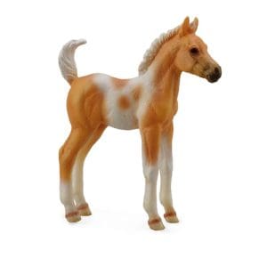 Pinto Foal Standing -Palomino