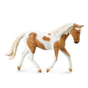 Pinto Mare - Palomino
