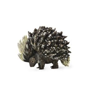 Porcupine (Indian Porcupine)