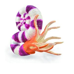 Pravitoceras