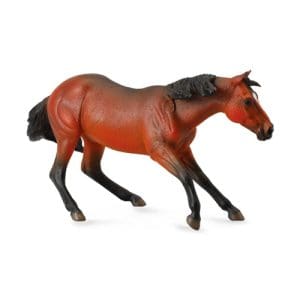 Quarter Horse - Bay