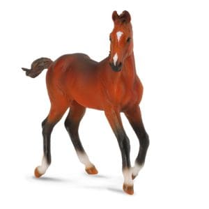 Quarter Horse foal - Bay