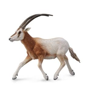Scimitar-Horned Oryx