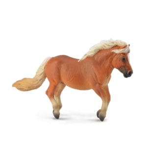 Shetland Pony Chestnut