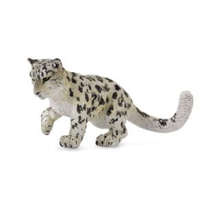 Snow Leopard Cub - Playing