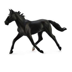 Standardbred Pacer Stallion - Black