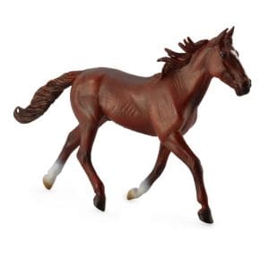 Standardbred Pacer Stallion - Chestnut
