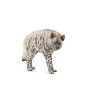 Striped Hyena