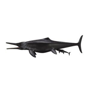 Temnodontosaurus Platyodon Birthing