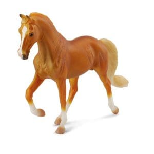 Tennessee Walking Horse Stallion Golden Palomino