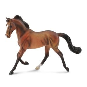 Thoroughbred Mare Bay