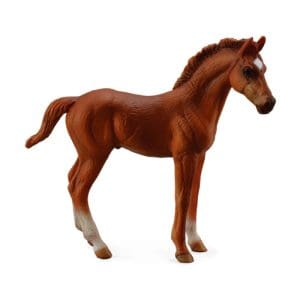 Thoroughbred foal Standing - Chestnut