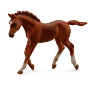 Thoroughbred foal Walking - Chestnut