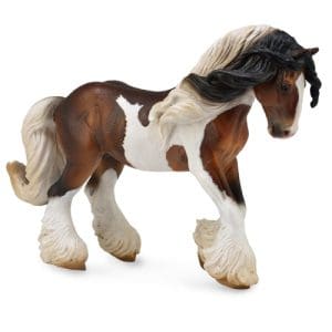 Tinker Stallion Piebald