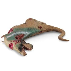 Tyrannosaurus Corpse