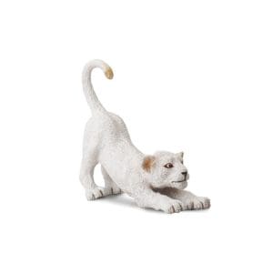 White Lion Cub - Stretching