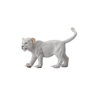 White Lion Cub - Walking