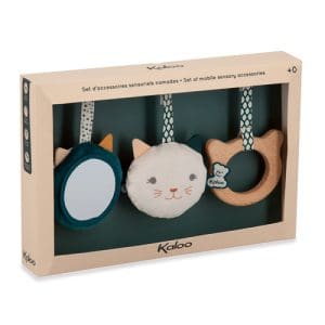Set Of Mobile Sensory Accessories