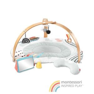Discoverosity Play Gym