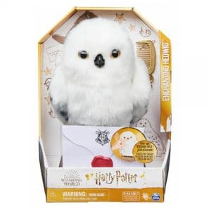 Enchanting Hedwig
