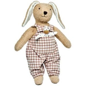 HUGO Rabbit standing