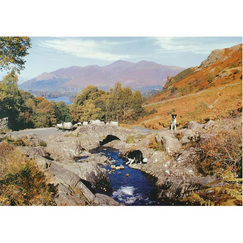 Thirsty Work 1000 Piece Puzzle