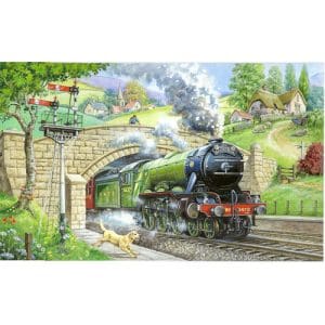 Train Spotting BIG 250 Puzzle