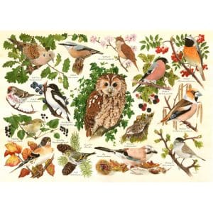 Woodland Birds BIG 500 Puzzle