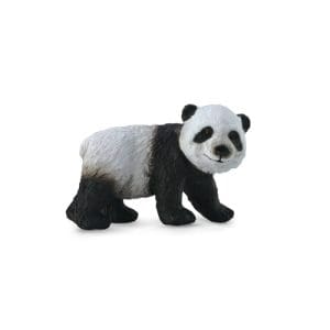 Giant Panda Cub - Standing
