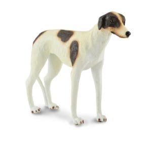 Greyhound