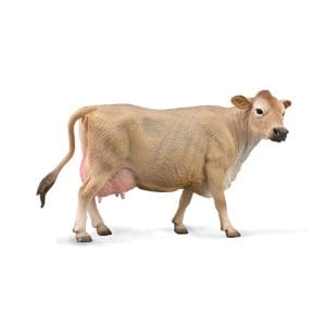 Jersey Cow