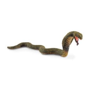 King Cobra
