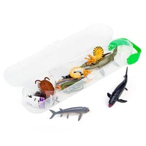 Mini Pre-Historic Marine Animals