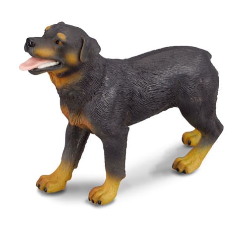 Rottweiler Rottweiler