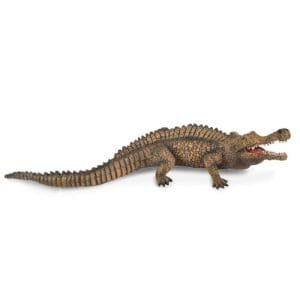 Sarcosuchus
