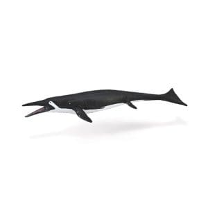 Shastasaurus