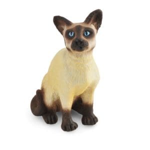 Siamese Cat - Sitting