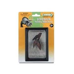 Tooth Of Triceratops Box Set