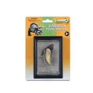 Tooth Of Tyrannosaurus Rex Box Set