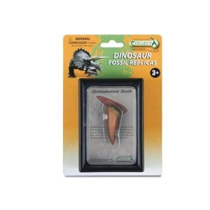Tooth of Spinosaurus Box Set