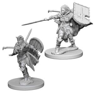 *B Grade* Pathfinder Deep Cuts Unpainted Miniatures (W1) - Human Female Paladin