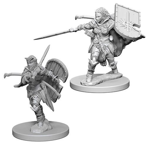*B Grade* Pathfinder Deep Cuts Unpainted Miniatures (W1) - Human Female Paladin *B Grade* Pathfinder Deep Cuts Unpainted Miniatures (W1) - Human Female Paladin