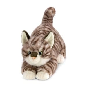 Boraelis Esme Tabby Cat 14