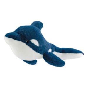 Borealis Azure Dolphin 22