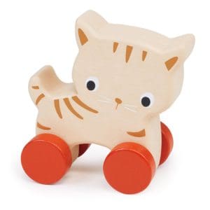 Mentari: Kitten On Wheels