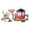PLAYMOBIL 71762 Asian Garden with Panda Feeding Promo Pack PLAYMOBIL 71762 Asian Garden with Panda Feeding Promo Pack