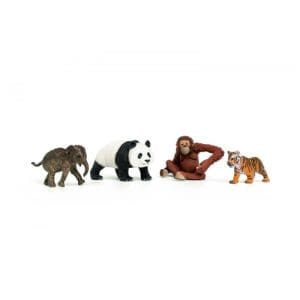 WILD LIFE 